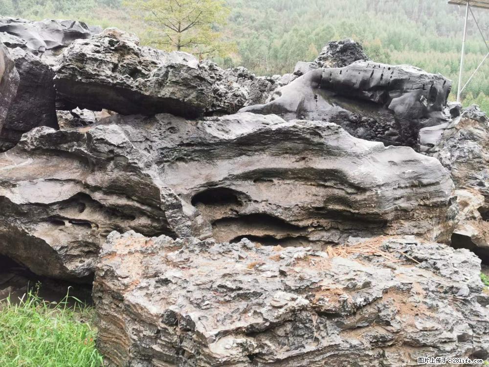 风景石、假山石大量有货，有需要的欢迎联系 - 新手上路 - 郴州生活社区 - 郴州28生活网 chenzhou.28life.net