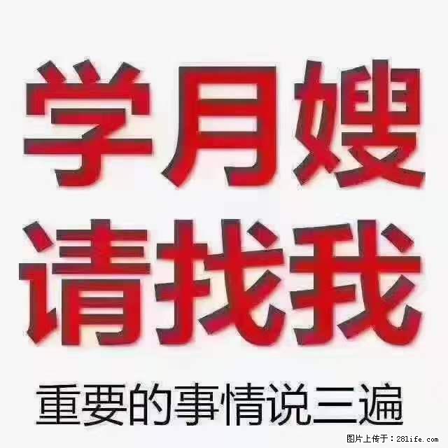为什么要学习月嫂，育婴师？ - 其他广告 - 广告专区 - 郴州分类信息 - 郴州28生活网 chenzhou.28life.net