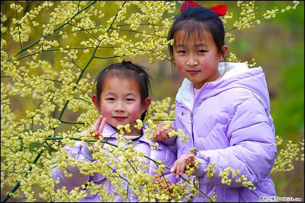 【春天，广西桂林灌阳县向您发出邀请！】米珠山前有片山苍子花在飘香 - 游山玩水 - 郴州生活社区 - 郴州28生活网 chenzhou.28life.net