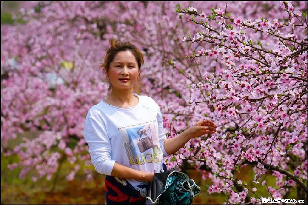 【春天，广西桂林灌阳县向您发出邀请！】官庄村有个醉美的桃花园 - 游山玩水 - 郴州生活社区 - 郴州28生活网 chenzhou.28life.net