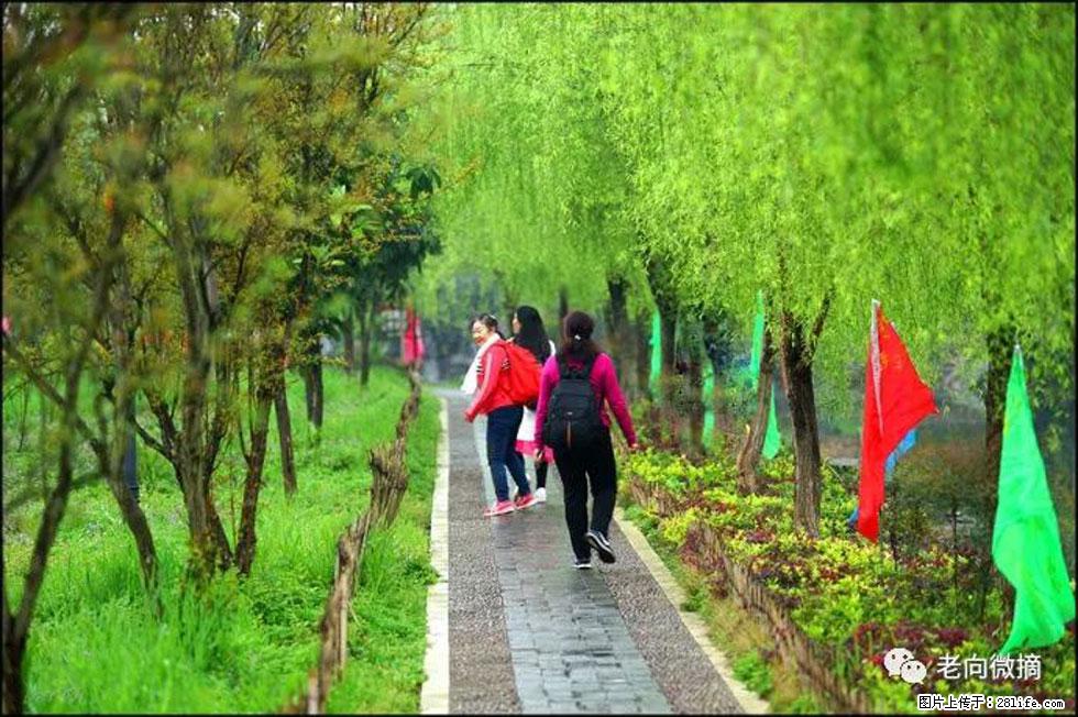 【春天，广西桂林灌阳县向您发出邀请！】江口老街又逢春 - 游山玩水 - 郴州生活社区 - 郴州28生活网 chenzhou.28life.net