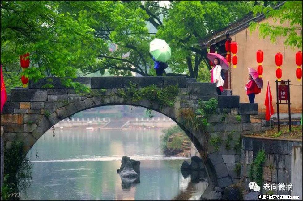 【春天，广西桂林灌阳县向您发出邀请！】江口老街又逢春 - 游山玩水 - 郴州生活社区 - 郴州28生活网 chenzhou.28life.net
