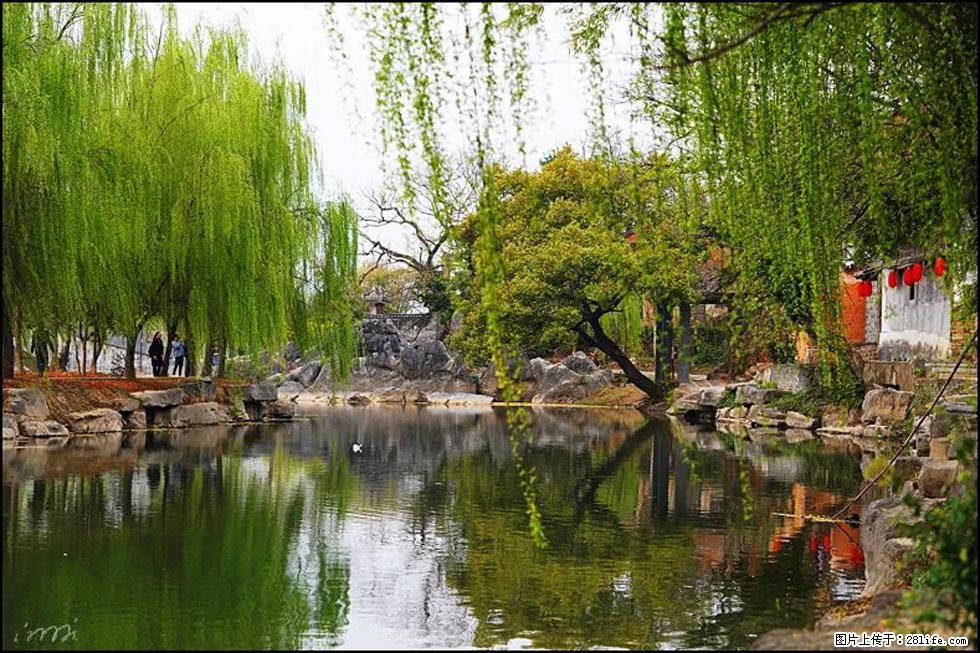 【春天，广西桂林灌阳县向您发出邀请！】江口老街又逢春 - 游山玩水 - 郴州生活社区 - 郴州28生活网 chenzhou.28life.net