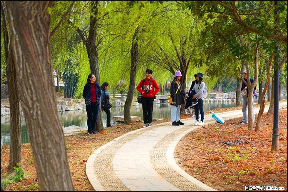 【春天，广西桂林灌阳县向您发出邀请！】江口老街又逢春 - 游山玩水 - 郴州生活社区 - 郴州28生活网 chenzhou.28life.net