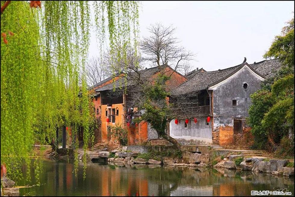 【春天，广西桂林灌阳县向您发出邀请！】江口老街又逢春 - 游山玩水 - 郴州生活社区 - 郴州28生活网 chenzhou.28life.net