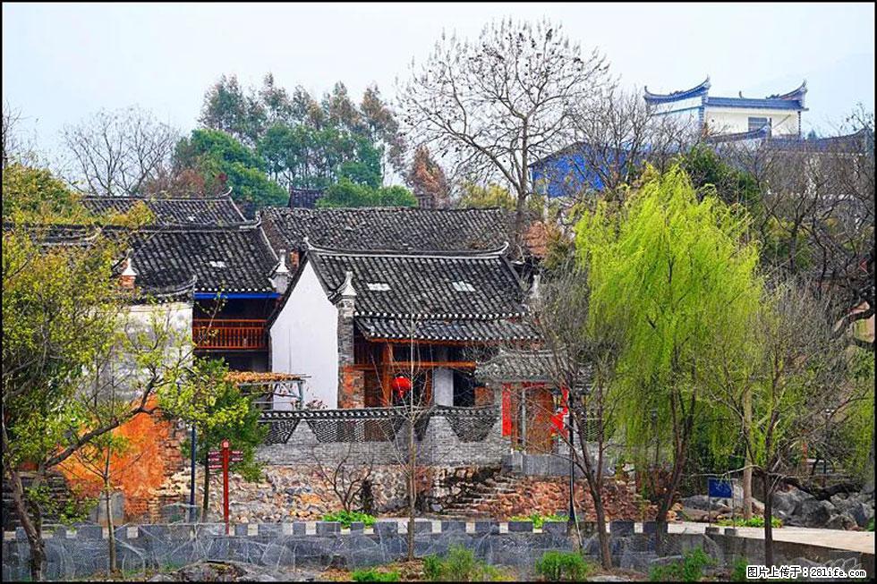 【春天，广西桂林灌阳县向您发出邀请！】江口老街又逢春 - 游山玩水 - 郴州生活社区 - 郴州28生活网 chenzhou.28life.net