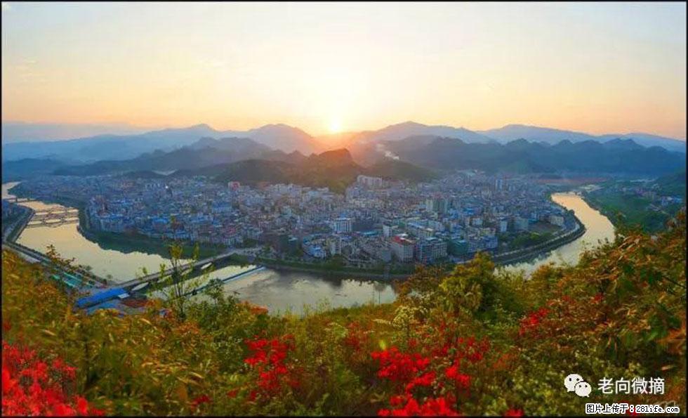 【春天，广西桂林灌阳县向您发出邀请！】登麒麟山，相约映山红 - 游山玩水 - 郴州生活社区 - 郴州28生活网 chenzhou.28life.net
