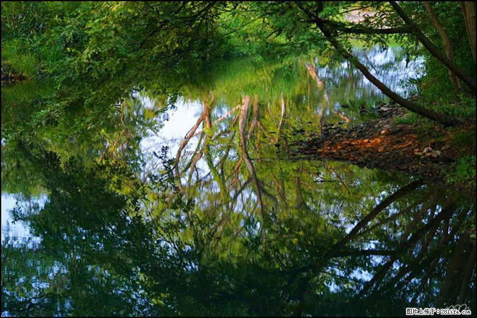 【春天，广西桂林灌阳县向您发出邀请！】熊家寨湿地公园 - 游山玩水 - 郴州生活社区 - 郴州28生活网 chenzhou.28life.net