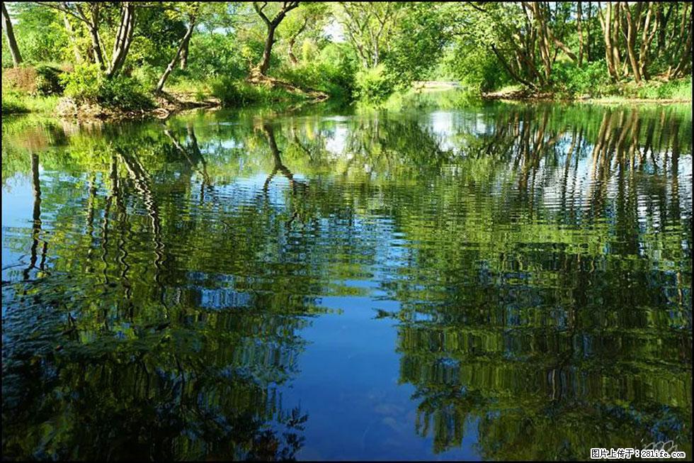 【春天，广西桂林灌阳县向您发出邀请！】熊家寨湿地公园 - 游山玩水 - 郴州生活社区 - 郴州28生活网 chenzhou.28life.net