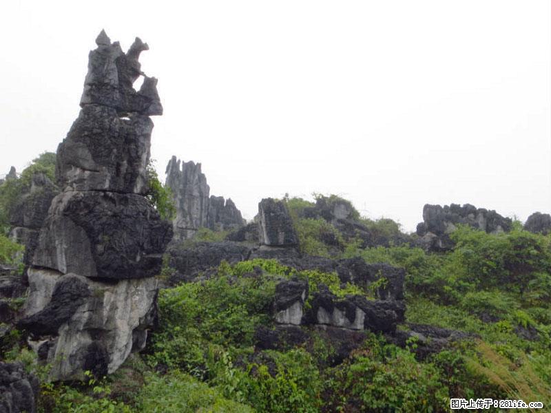 桂林旅游名城景点：灌阳文市石林 - 游山玩水 - 郴州生活社区 - 郴州28生活网 chenzhou.28life.net