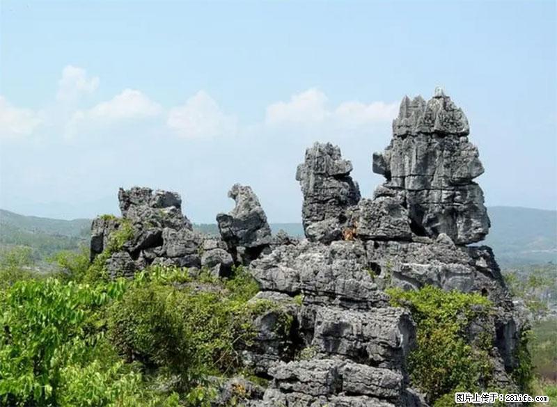 桂林旅游名城景点：灌阳文市石林 - 游山玩水 - 郴州生活社区 - 郴州28生活网 chenzhou.28life.net