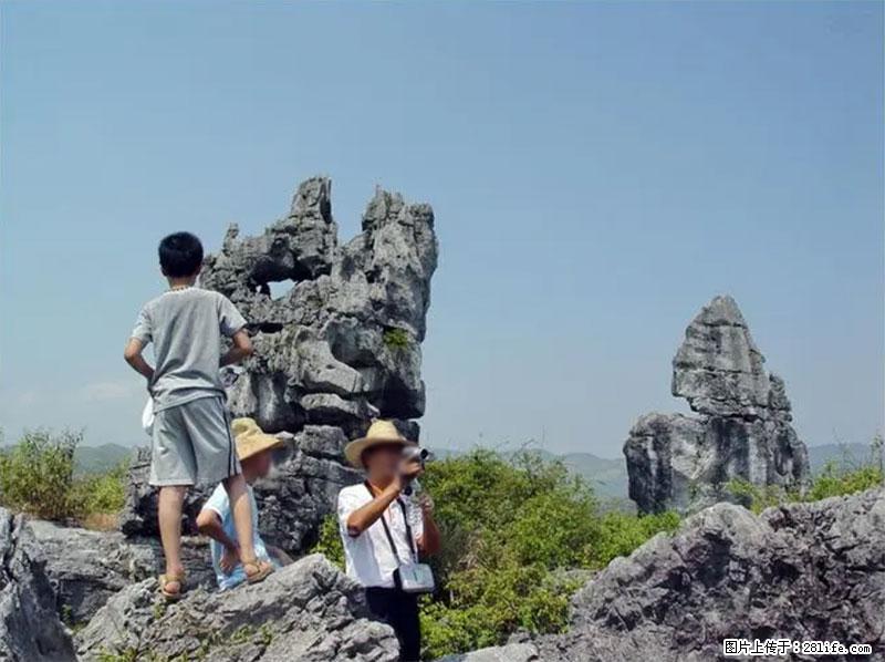 桂林旅游名城景点：灌阳文市石林 - 游山玩水 - 郴州生活社区 - 郴州28生活网 chenzhou.28life.net