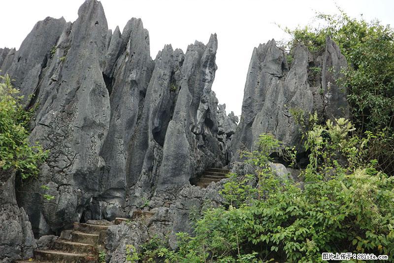 桂林旅游名城景点：灌阳文市石林 - 游山玩水 - 郴州生活社区 - 郴州28生活网 chenzhou.28life.net