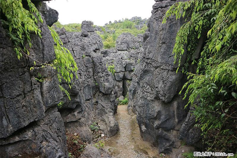 桂林旅游名城景点：灌阳文市石林 - 游山玩水 - 郴州生活社区 - 郴州28生活网 chenzhou.28life.net