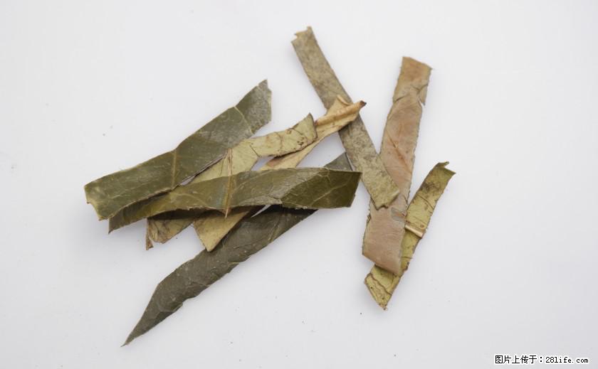 苦丁茶有哪些功效和作用 - 生活百科 - 郴州生活社区 - 郴州28生活网 chenzhou.28life.net