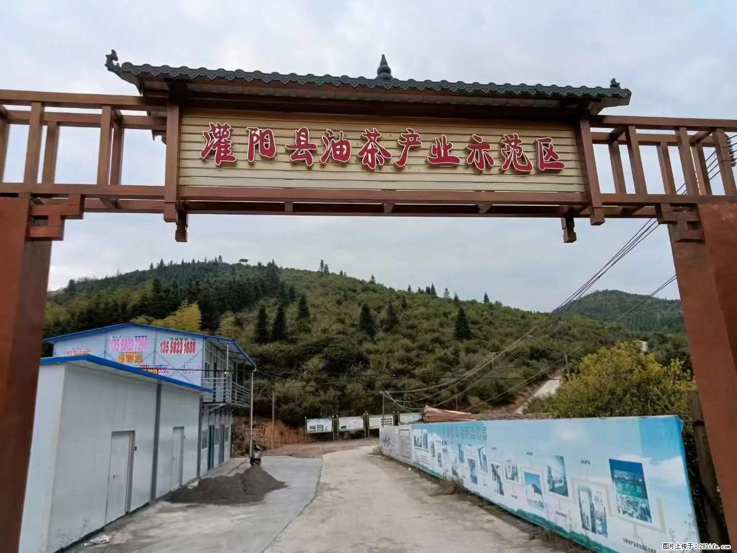 【灌阳县油茶产业示范区】一个有着充实的精神生活的人，对待身外之物自会有一种淡泊的态度 - 土特产 - 饮食特产 - 郴州分类信息 - 郴州28生活网 chenzhou.28life.net