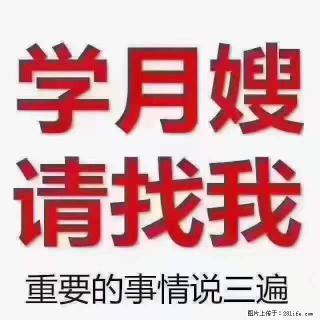 为什么要学习月嫂，育婴师？ - 郴州28生活网 chenzhou.28life.net