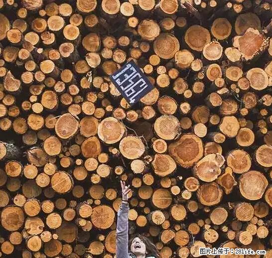 辞掉工作周游世界？现在他们在洗厕所…… - 游山玩水 - 郴州生活社区 - 郴州28生活网 chenzhou.28life.net