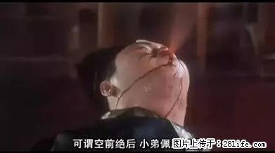 笑癫了！一女的怀孕三年未生，他终于忍不住了... - 娱乐八卦 - 郴州生活社区 - 郴州28生活网 chenzhou.28life.net