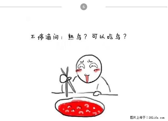 千万不要和这9种哈卵一起吃火锅！ - 美食天地 - 郴州生活社区 - 郴州28生活网 chenzhou.28life.net