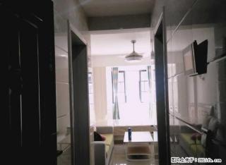 新贵华城 精装一房，家电齐全 拎包入住 仅租1100 - 郴州28生活网 chenzhou.28life.net