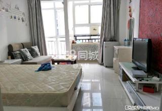 香雪路万豪国际酒店旁精装公寓 1室1厅1卫 - 郴州28生活网 chenzhou.28life.net