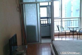 香雪公馆推出精装一房仅租900，拎包入住1 - 郴州28生活网 chenzhou.28life.net