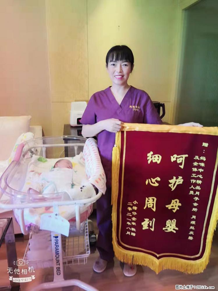 上海高端月子会所招新手月嫂，零基础带教，包吃住 - 职场交流 - 郴州生活社区 - 郴州28生活网 chenzhou.28life.net