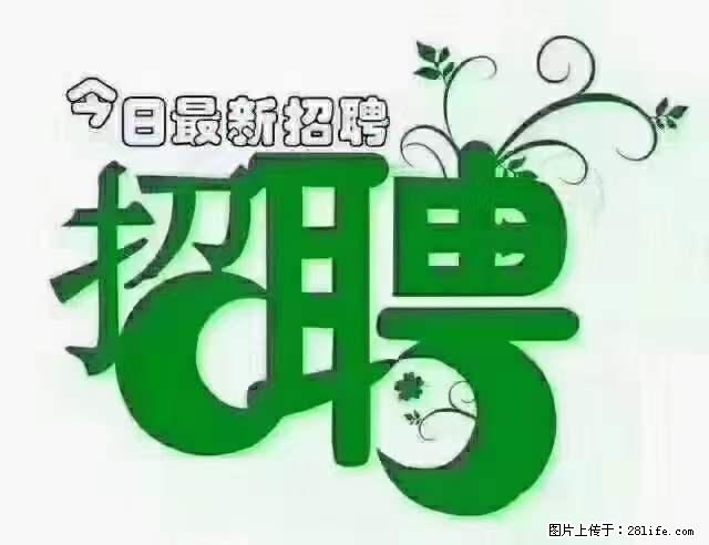 【招聘】产康师 - 职场交流 - 郴州生活社区 - 郴州28生活网 chenzhou.28life.net