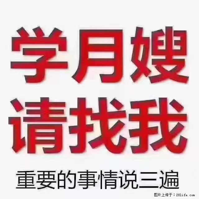 【招聘】月嫂，上海徐汇区 - 职场交流 - 郴州生活社区 - 郴州28生活网 chenzhou.28life.net