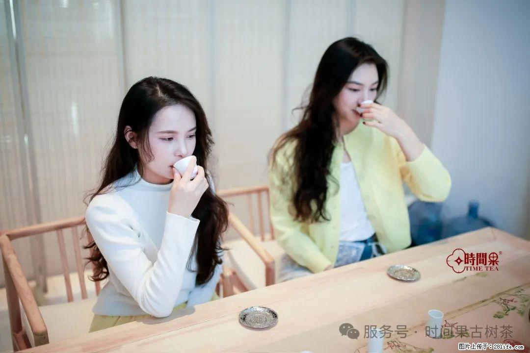 时间果百年古树龙珠普洱生茶 - 购物交流 - 郴州生活社区 - 郴州28生活网 chenzhou.28life.net