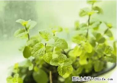 晕车、脚气、牙齿变黄、皮肤粗糙？学会这些三分钟搞定！ - 郴州生活资讯 - 郴州28生活网 chenzhou.28life.net