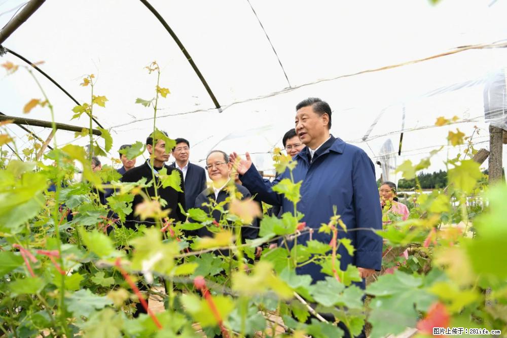 习近平赴广西考察调研 - 郴州生活资讯 - 郴州28生活网 chenzhou.28life.net