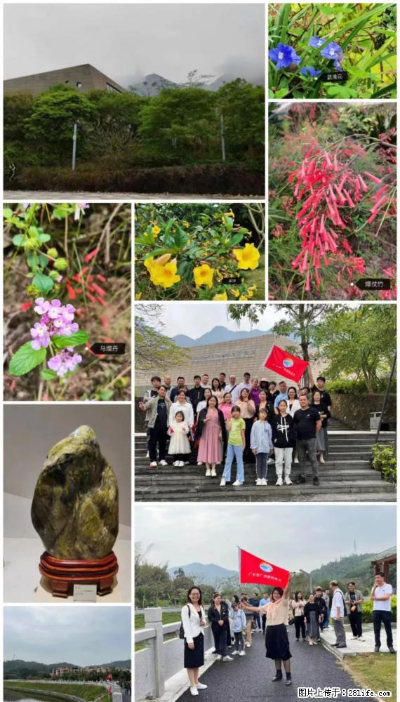 “粤灌文化 美好生活”油茶文化主题活动在广东深圳成功举办 - 郴州生活资讯 - 郴州28生活网 chenzhou.28life.net