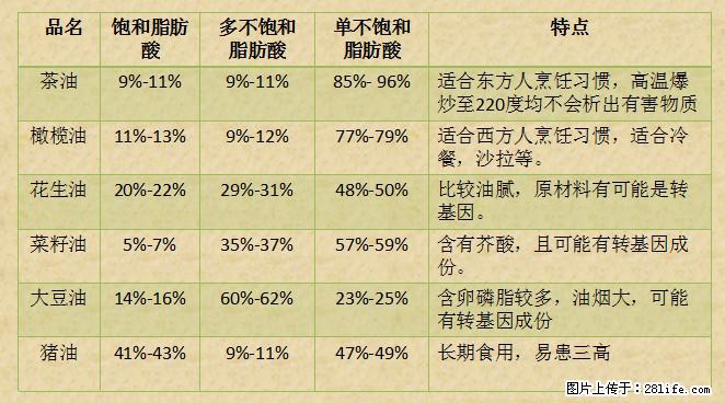 揭秘茶油的5大核心营养成分！被称为人体健康的“守护盾”！ - 郴州生活资讯 - 郴州28生活网 chenzhou.28life.net