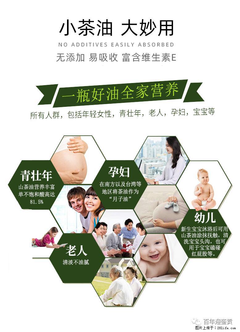 世界没有真相，只有认知，最好的食用油是中国的山茶油！ - 郴州生活资讯 - 郴州28生活网 chenzhou.28life.net
