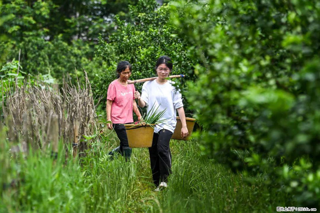 全网追的“扁担女孩”，找了一份暑假工，时薪12元 - 郴州生活资讯 - 郴州28生活网 chenzhou.28life.net