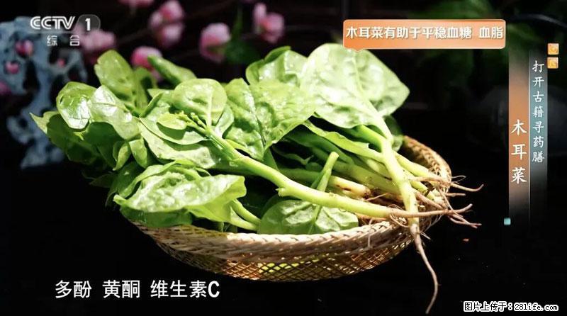 比牛奶补钙还厉害！凉血解毒、稳血糖...这菜冬天必吃，很多人却当草 - 郴州生活资讯 - 郴州28生活网 chenzhou.28life.net