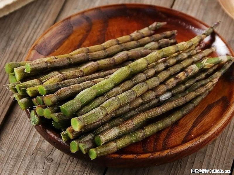 铁皮石斛的作用与功能主治 - 郴州生活资讯 - 郴州28生活网 chenzhou.28life.net